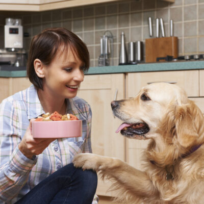 Human Foods Pets Should Avoid