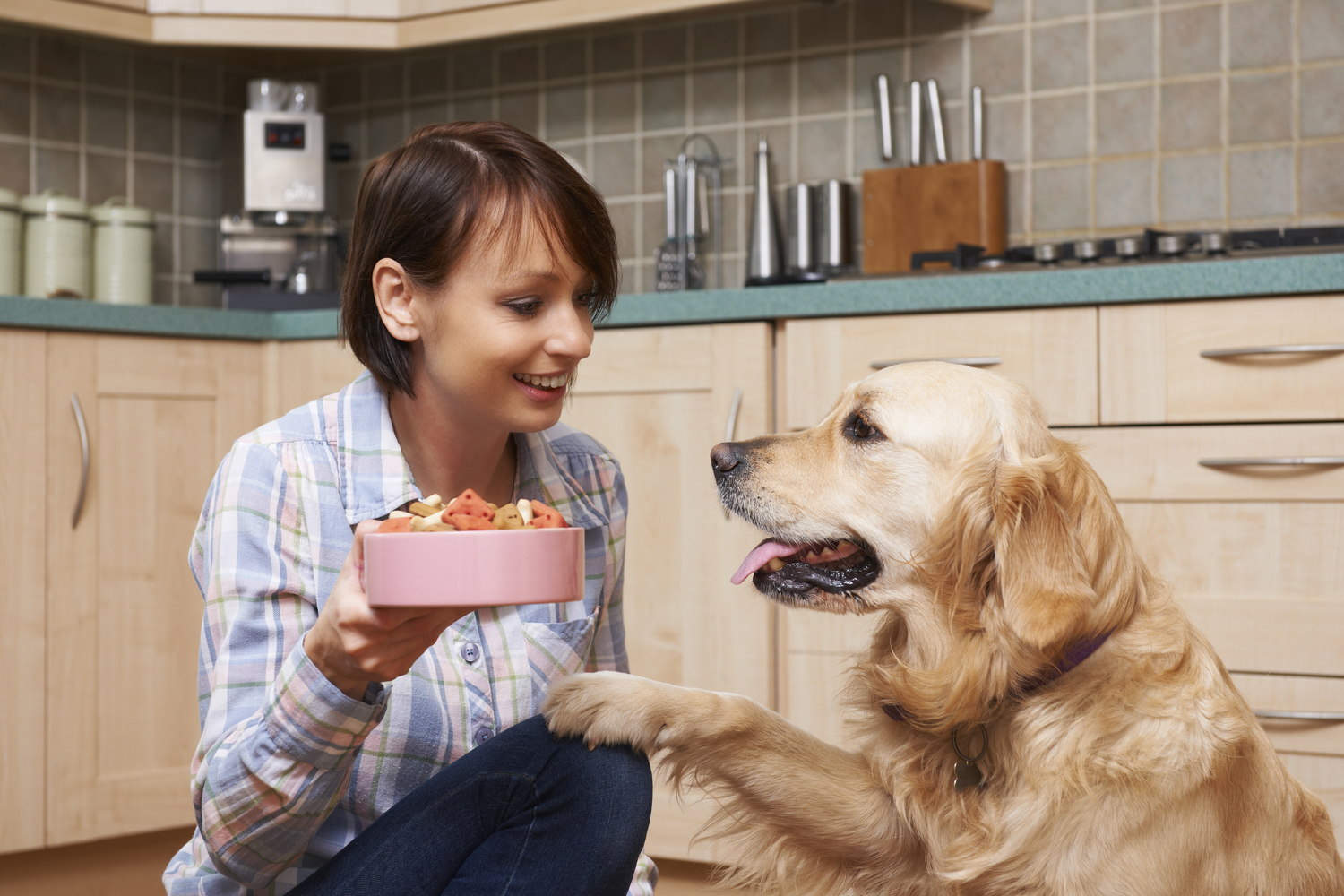 Human Foods Pets Should Avoid